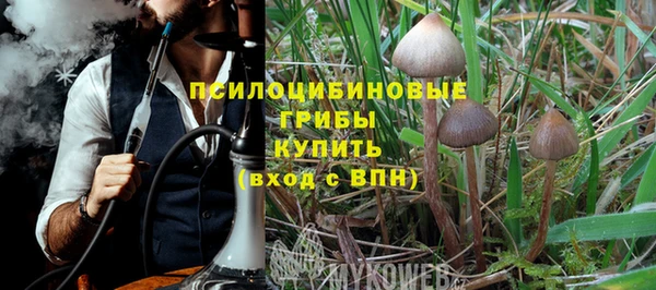 альфа пвп Вяземский